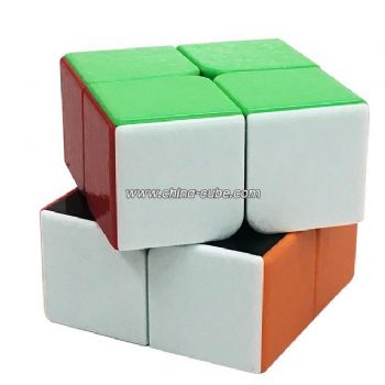 ShengShou GEM 2x2x2 Magic Cube - Colorful